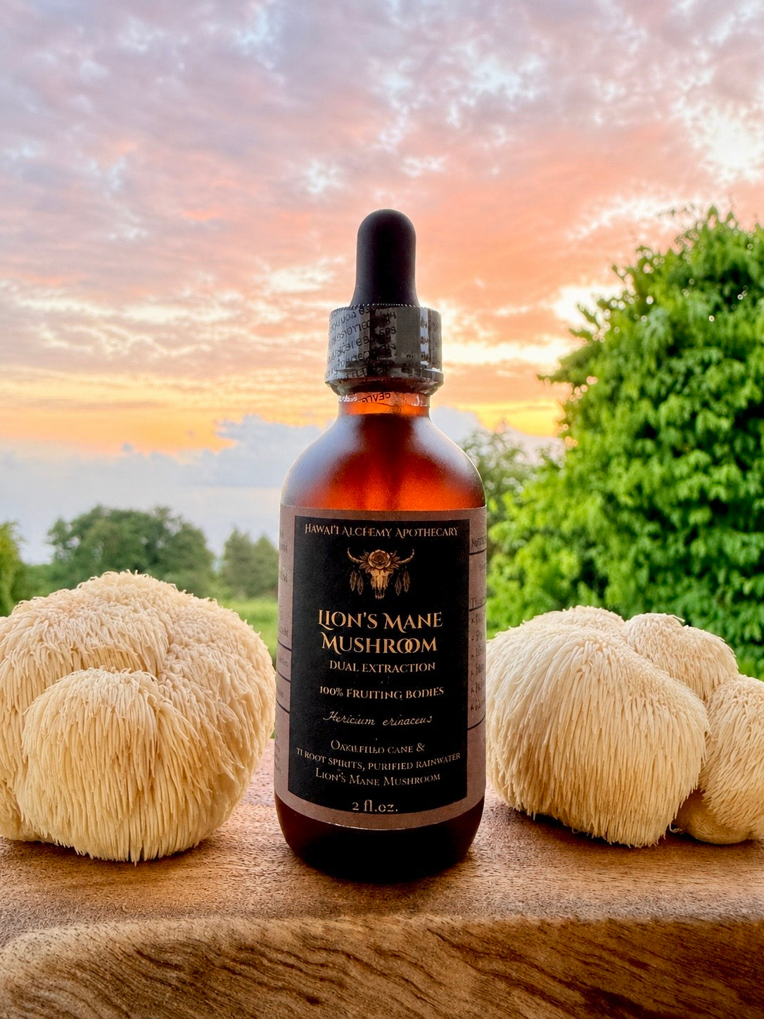 Lion’s Mane Mushroom Extract
