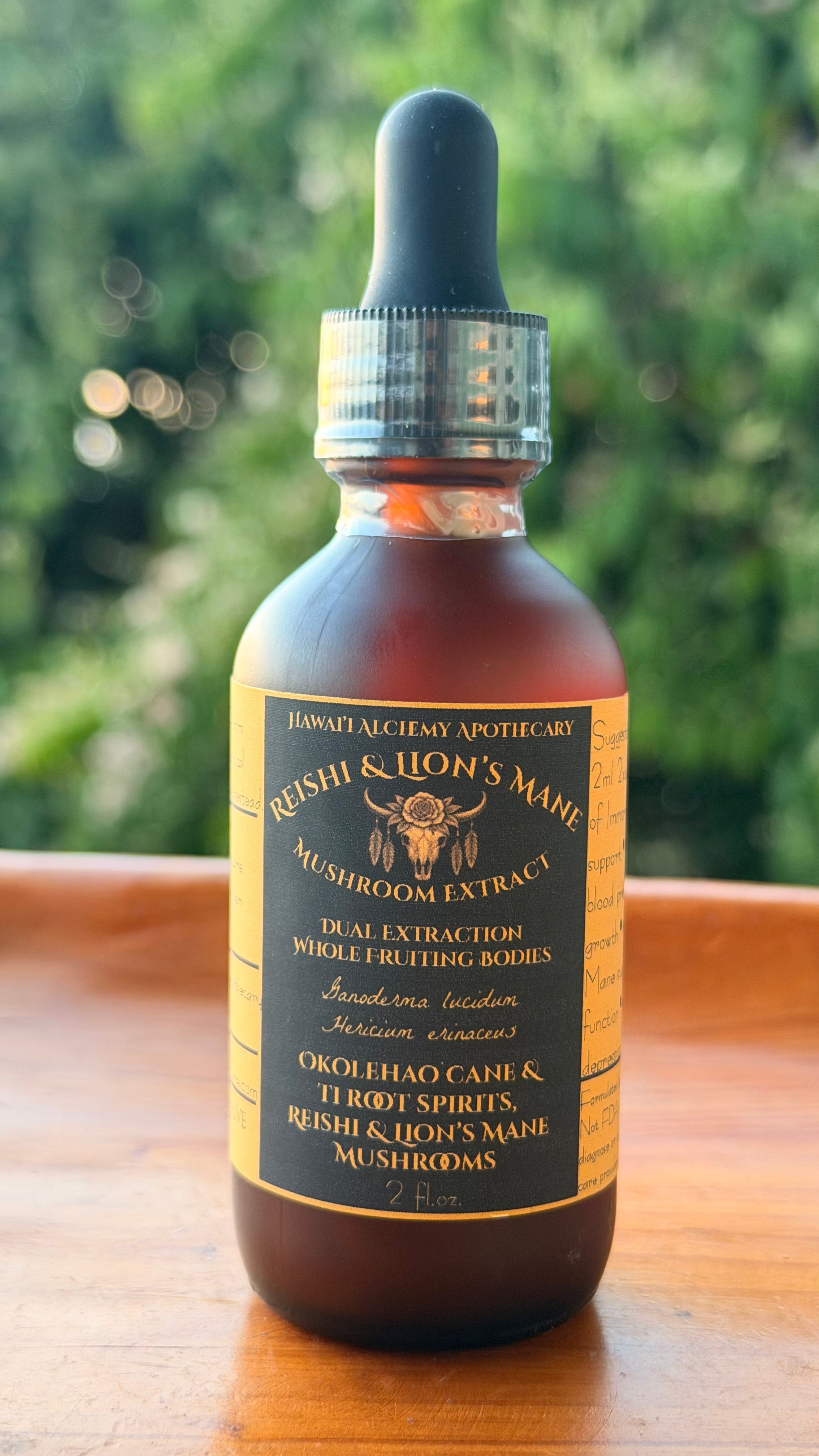 Reishi & Lion’s Mane Dual Extract Mushroom Tincture