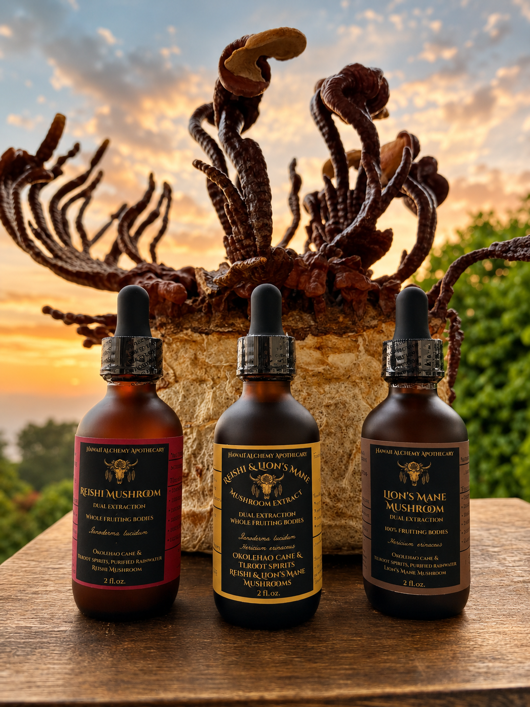 Reishi Mushroom Extract