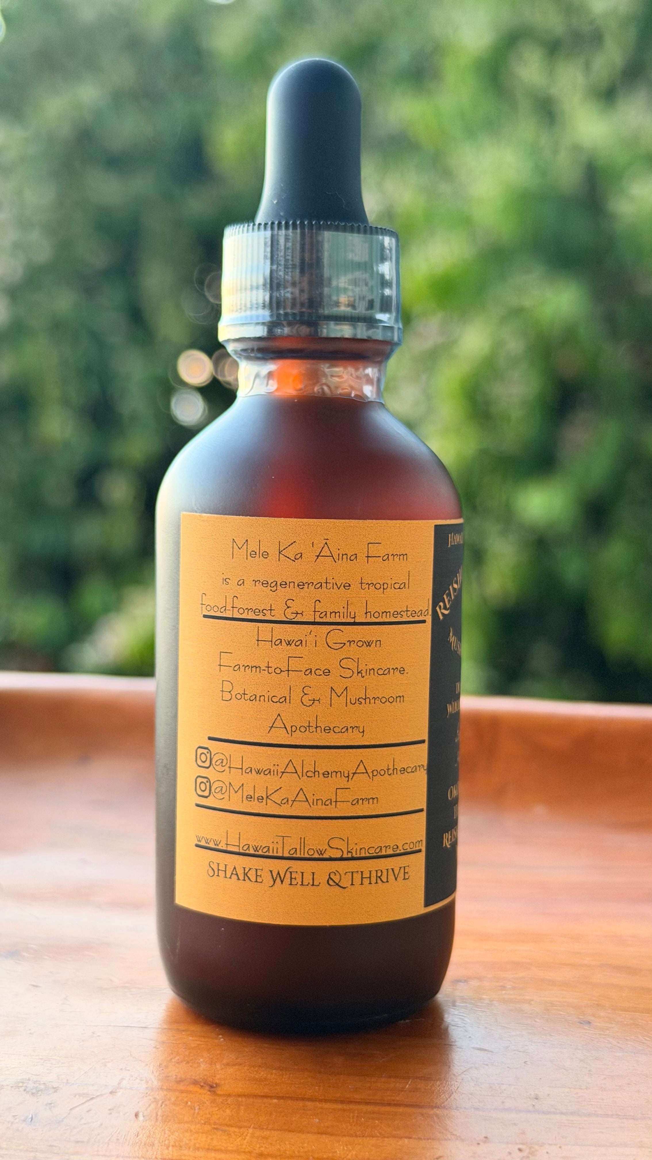Reishi & Lion’s Mane Dual Extract Mushroom Tincture