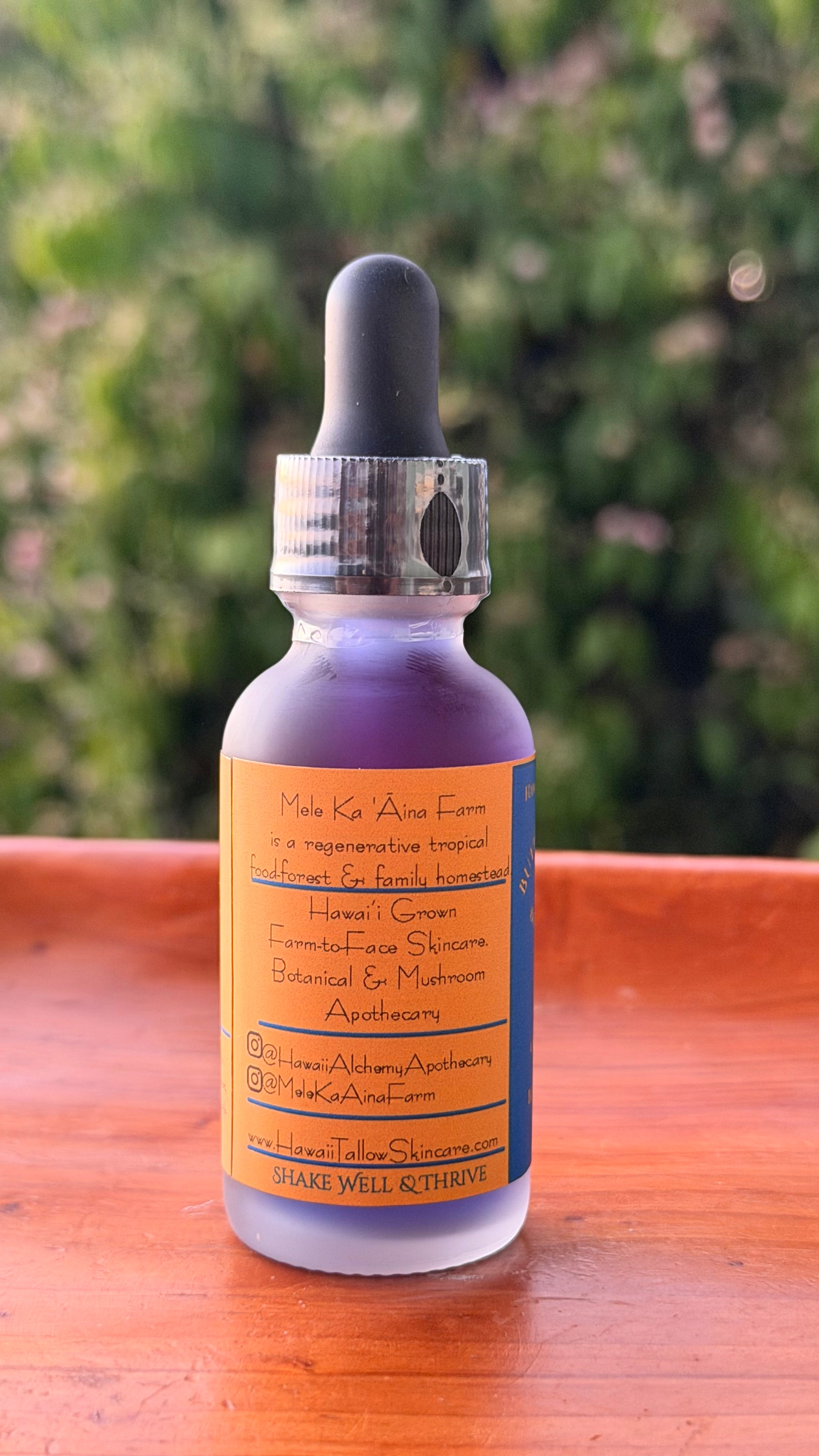 Blue Butterfly Pea Flower Botanical Extract