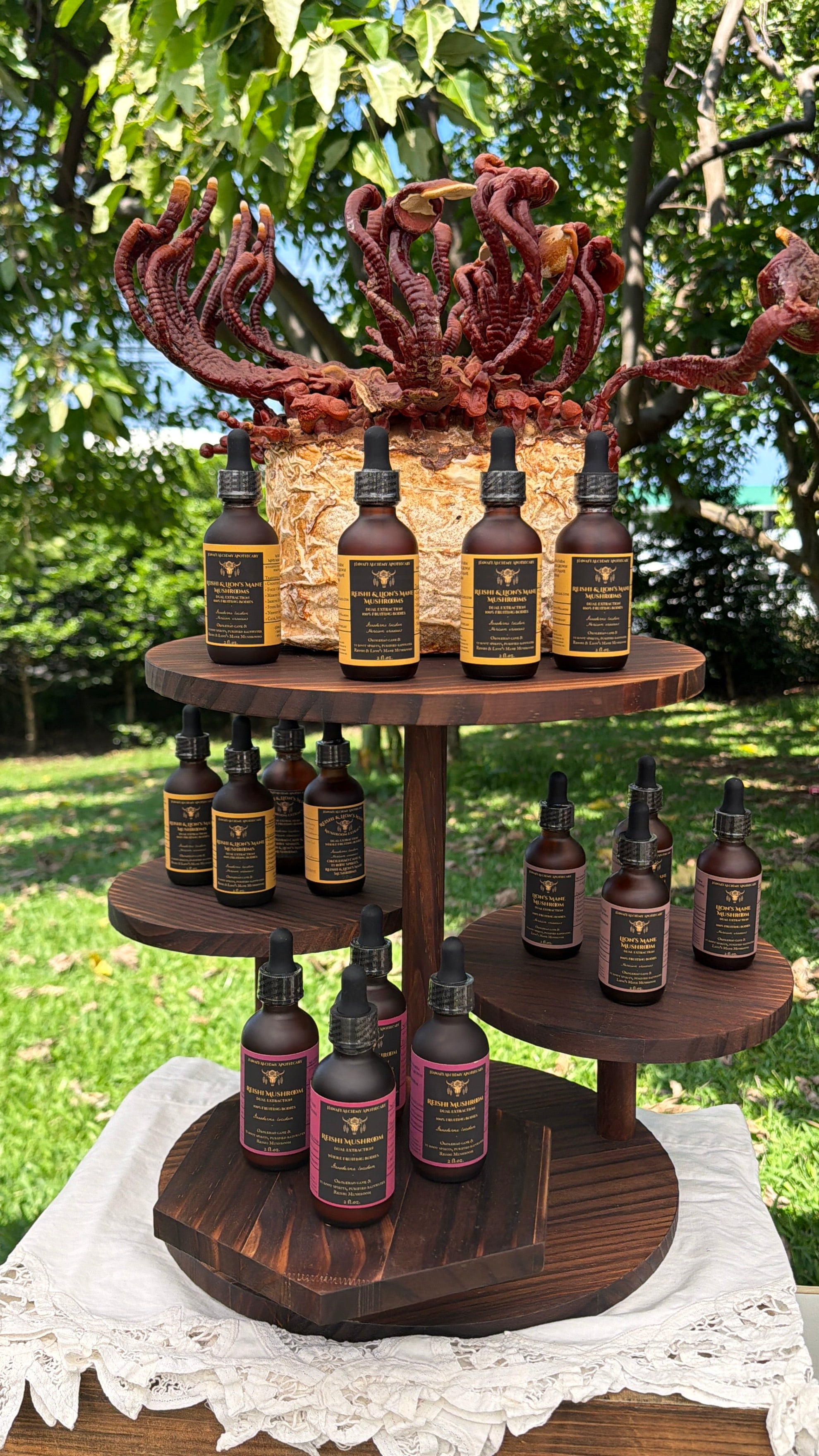 Reishi Mushroom Extract