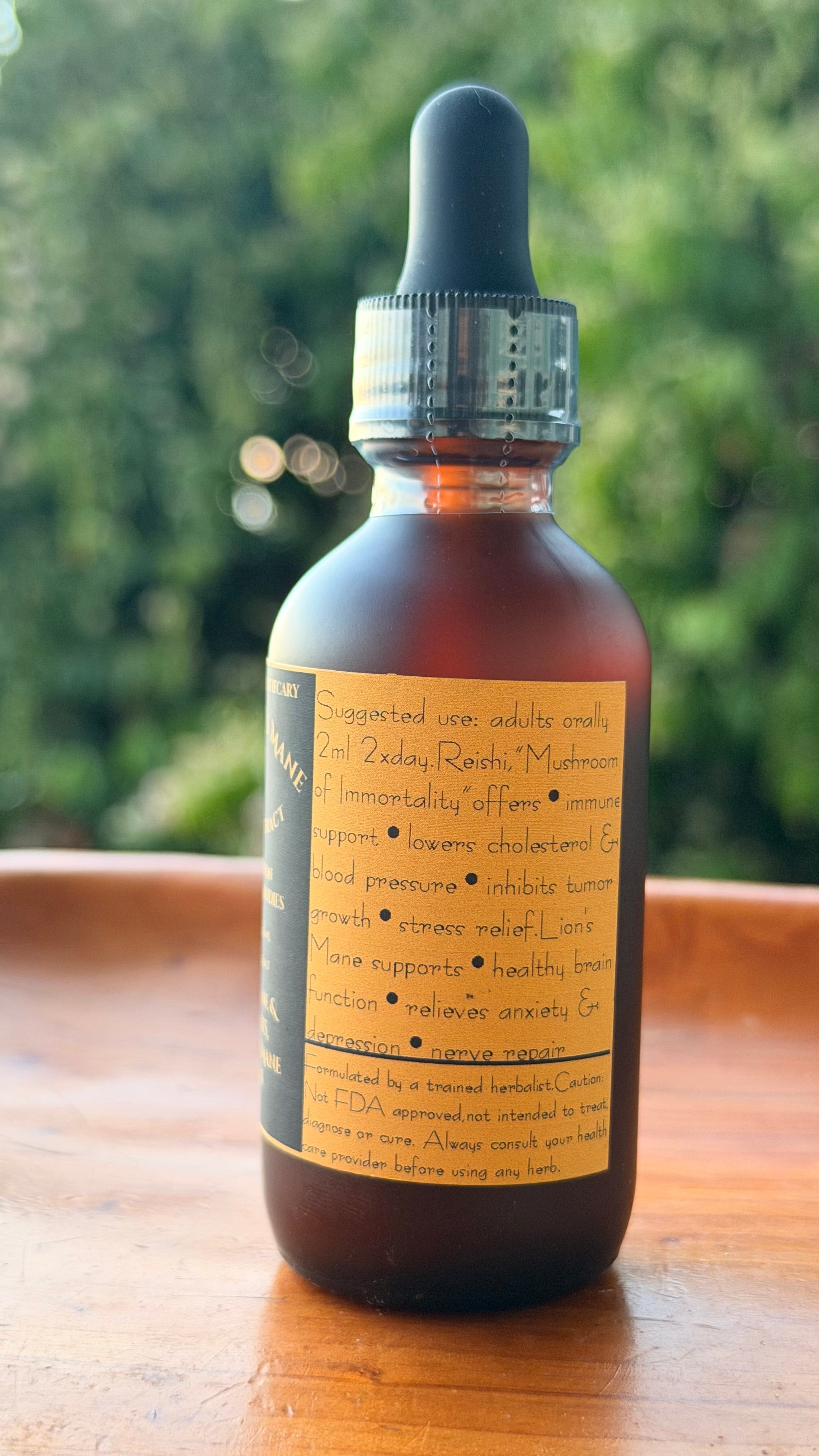Reishi & Lion’s Mane Dual Extract Mushroom Tincture